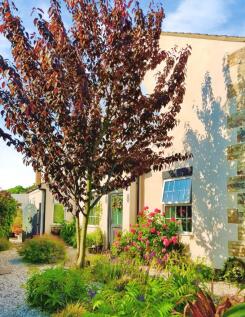 Property Image 32