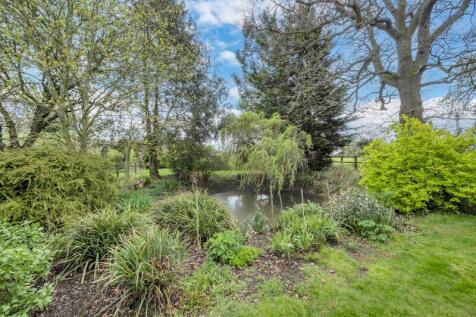 Pond