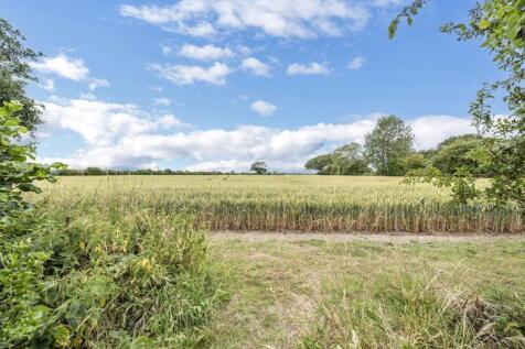 Field Views