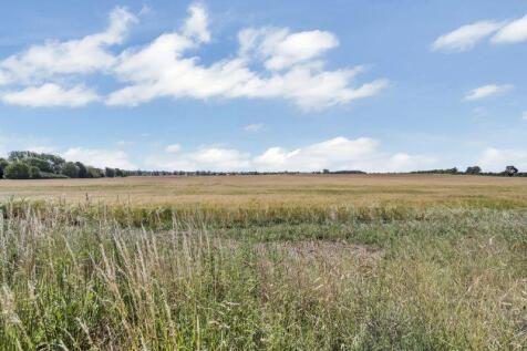 Field Views