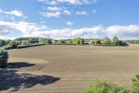 Field Views