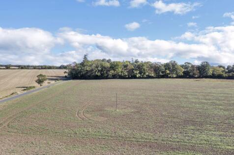 Field Views