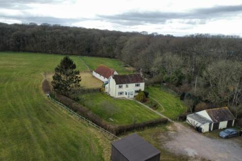 dji_fly_20250313_124950_571_1741870418607_photo_op