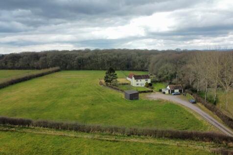 dji_fly_20250313_124852_566_1741870423916_photo_op