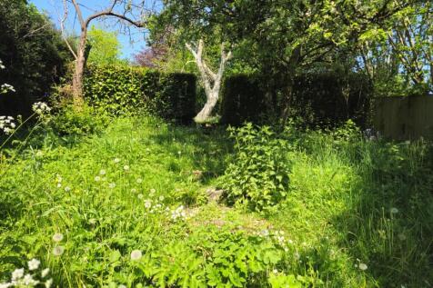 Steps leading to top of garden