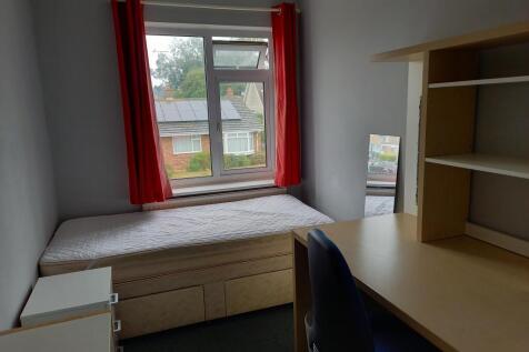 Room 5 