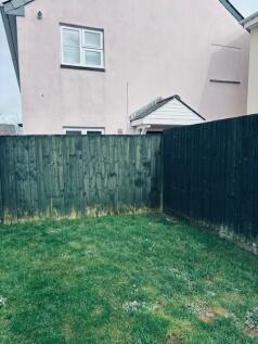 Garden2.jpg