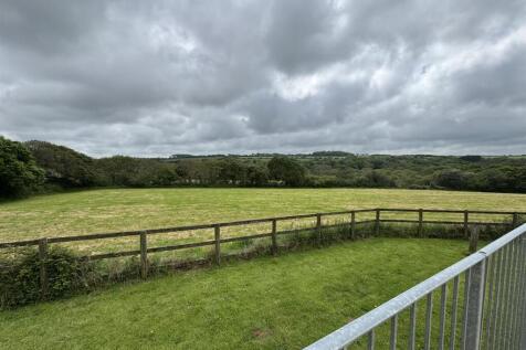 IMG_8312.JPEG