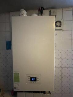 IMG_3032.JPEG