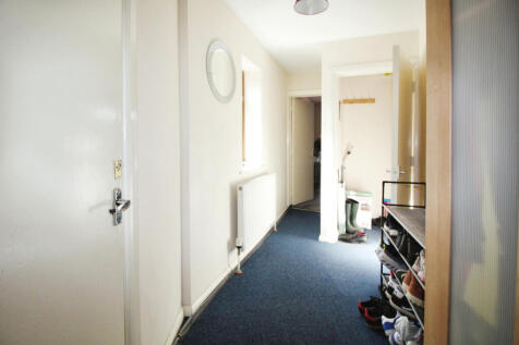 2544051__1726149917-9734-869ec130-IMG6655