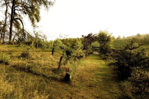 Archive _-23.jpg