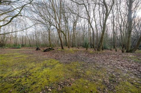 Woodland To Rear