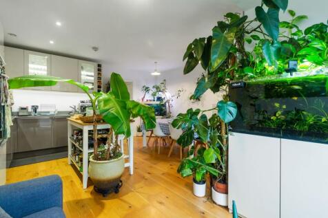 Reception / Kitchen