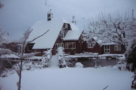 photo 1.jpg