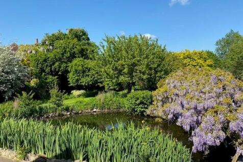butchers garden photo.jpg
