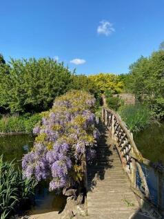 butchersmere bridge.jpg