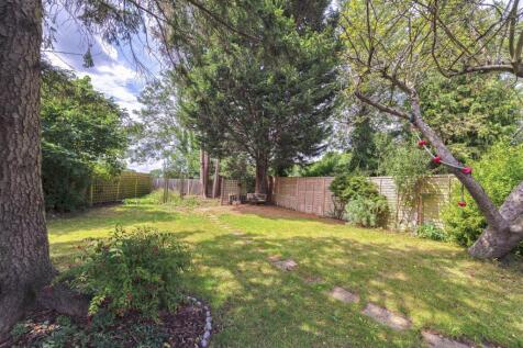 33Ribston17.jpg