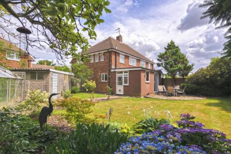33Ribston18.jpg