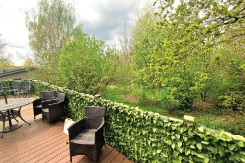 View from Deck