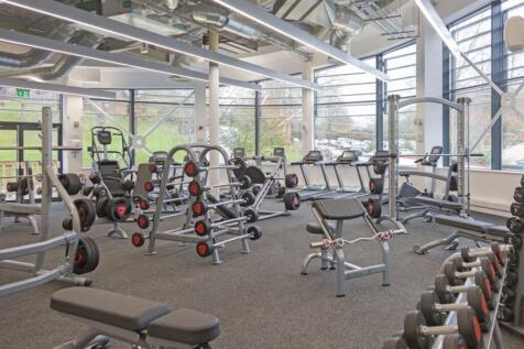 Gym With Fitness Classes