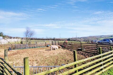 Paddocks