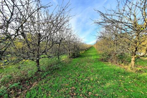 Set in 15 Acres of Grounds
