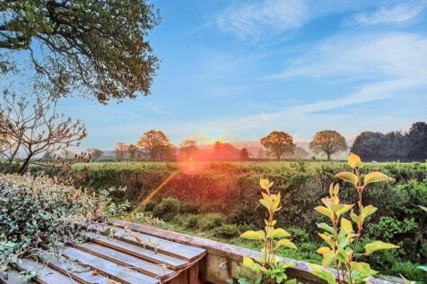 View From Garden