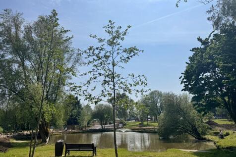 Surroundings