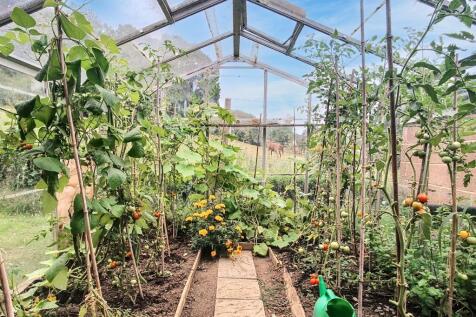 Green House