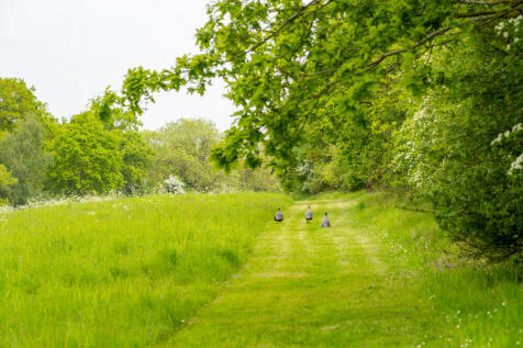 Photo 30