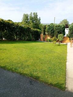 IMG_20240625_090032.jpg