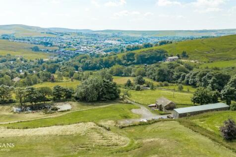 DJI_20240719110205_0137_D.jpg