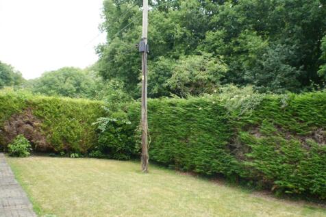 Garden 2