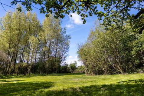 Property Image 96