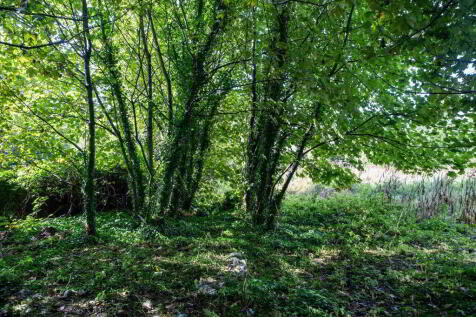 Property Image 32