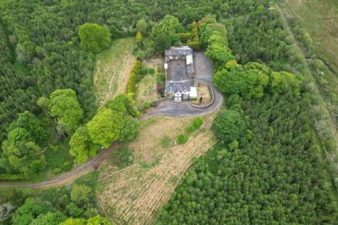 Property Image 63
