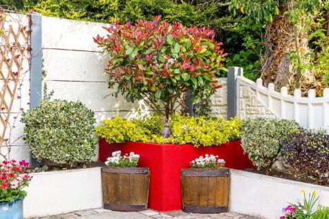 Property Image 40