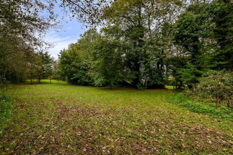 Property Image 60