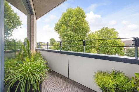 Terrace (2).JPG