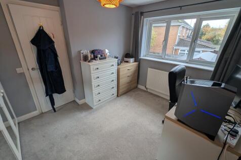 PXL_20251103_1339043