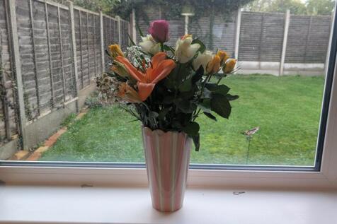 PXL_20251111_1116219