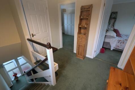 PXL_20251111_1121135