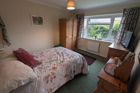 PXL_20251111_1121293