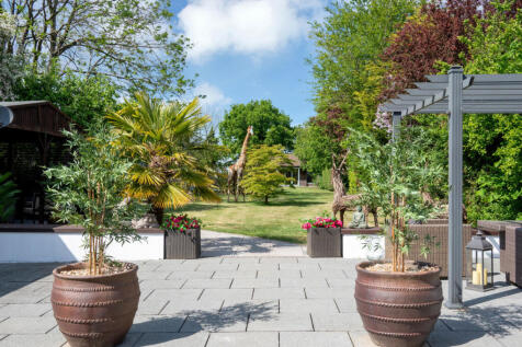 Property Image 37