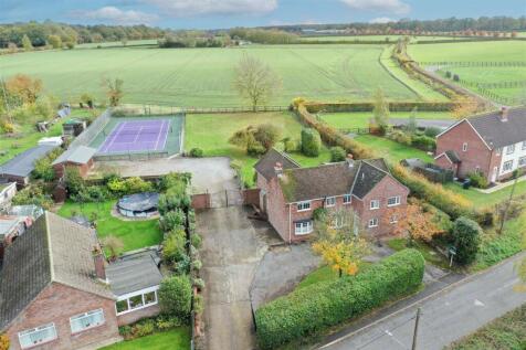 DJI_0981.jpg