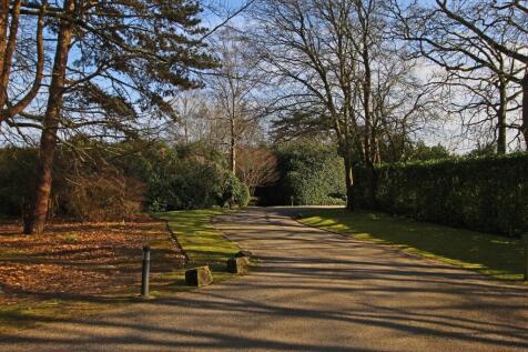Property Image 34
