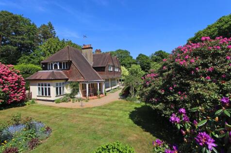 Property Image 42