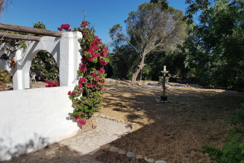 Property Image 39