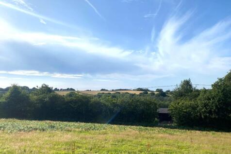 VIEW FROM THE PLOT