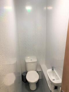 IMG-3601